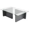 Image de CONCEPT1 Flavio anthracite 105 x 65 x h30cm 353NRD1112