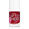 Image de Pastel Lip To Cheek Tint blush liquide lèvres et joues teinte 01 Carmen 9.6 ml