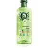 Image de Herbal Essences Aloe Moisturise shampoing nutrition et hydratation 350 ml