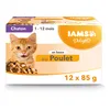Image de IAMS Nourriture Humide en Sauce Poulet pour Chaton Toutes Les Races 12 Sachets x 85 g