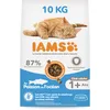 Image de IAMS Croquettes Chat Adulte au Poisson 10 kg