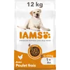 Image de IAMS Vitality - Croquettes pour Chiens Adultes Grande Race - Favorise Santé et Vitalité - Faible en Graisses - Au Poulet Frais - sans : OGM, Colorant, Arôme Artificiel, Blé - Multicolore - 12 kg