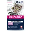 Image de EUKANUBA Grain Free Croquettes pour Chaton - Riche en saumon - Apport en DHA, Sans OGM, colorants, arômes artificiels - 2 kg