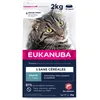 Image de EUKANUBA Grain Free Croquettes pour Chat Adulte - Riche en saumon - Enrichie en taurine, Sans OGM, colorants, arômes artificiels - 2 kg