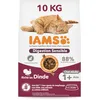 Image de IAMS Advanced Nutrition Chat Adulte Digestion Sensible Alimentation sèche - à la Dinde - 10kg