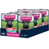 Image de EUKANUBA Life Care Aliment Humide Chien Adulte 1 à 7 Ans Toutes Races, Pâtée Riche en Boeuf & Courges, Oméga-3, Calcium, Prébiotiques MOS, sans OGM Colorants Conservateurs, 6 boîtes de 400g