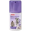 Image de Beaphar   NO Stress   Spray calmant à la Valériane pour Chat   Réduit Le Stress et Les problèmes comportementaux sans dépendance ni Somnolence   Flacon 125 ML   5 Heures d'action