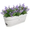 Image de Elho Vibia Campana Balconnière 50cm - Blanc Soie