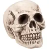 Image de Boland 71988   Crâne Bighead Accessoire d'halloween