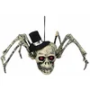 Image de Boland 72158 Décoration Crâne d'araignée 23 x 29 cm