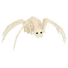 Image de Boland 72412 - Squelette d'araignée - Taille 35 cm