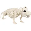 Image de Boland 72416 Squelette pour chien, taille 52 cm, bouche mobile, chien, factice, en plastique, décoration pour Halloween, carnaval ou fête à thème, beige-noir