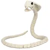Image de Boland 72417 Serpent Squelette Taille 102 cm Squelette en plastique Serpent Boa Snake Décoration pour Halloween, Carnaval ou Fête à thème, Beige/Noir