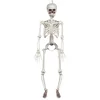 Image de Boland 73042 - Squelette suspendu - Taille 90 cm - Bras et jambes mobiles - Décoration à suspendre - Pour Halloween, carnaval, fête à thème