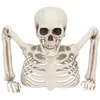 Image de Boland - 73214 - Décoration squelette, 20 cm, Décoration pour Halloween et Carnaval, Décoration de fête