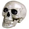 Image de Boland 74362 Maxilla   Crâne avec mâchoire articulée, 17 x 15 cm - Blanc