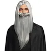 Image de Boland 85712 - Perruque et barbe Enchanteur Merlin, cheveux synthétiques gris, Accessoires pour Costumes de Carnaval, Carnaval, Fête à thème