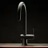 Image de Reginox Yampa Mitigeur de cuisine, pivotant, R31704,