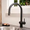 Image de Reginox Flint Mitigeur de cuisine pivotant avec douchette extractible, R37416,