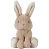 Image de Newborn Peluche lapin