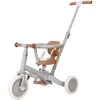 Image de Tricycle 4 en 1 Pure Sage