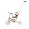 Image de Tricycle 4 en 1 Sunny Flowers