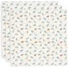 Image de Lot de 3 langes Gaze Coton Roarsome