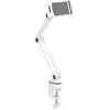 Image de Neomounts DS15-545WH1 Support de table pour tablette 11,9 cm (4,7) - 32,8 cm (12,9)