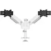 Image de Neomounts Support de table pour écran DS65S-950WH2 2 Écran(s) 61 cm (24) - 86,4 cm (34) blanc réglable en hauteur, inclinable, mobile, rotatif