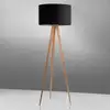 Image de Zuiver Tripod Lampadaire, E27, 5000805,
