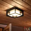 Image de Philips Hue White & Color Ambiance Econic Plafonnier, LED, 8718696170564,