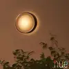 Image de Philips Hue White & Color Ambiance Daylo Applique murale, LED, 8718696174401,