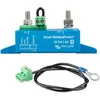 Image de Victron Energy Smart BatteryProtect 12/24 Volt 65 amp (Bluetooth)