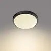 Image de Philips Doris CL257 Plafonnier LED, 8719514326606,