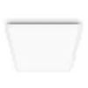 Image de Philips Panel Plafonnier, LED, 8719514326705,