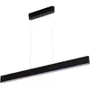 Image de Philips Hue Suspension LED 871951434336800 Hue White & Col. Amb. Ensis LED intégrée 79 W
