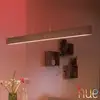 Image de Philips Hue White & Color Ambiance Ensis Suspension, LED, 8719514343467,