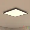 Image de Philips Hue White Ambiance Aurelle Panneau LED LED, 8720169158894,