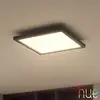 Image de Philips Hue White Ambiance Aurelle Panneau LED LED, 8720169159013,