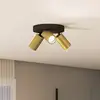 Image de Philips Idris Projecteur, GU10, 3 sources lumineuses, cache-piton rond, 8720169299252,