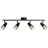 Image de Philips Palms 8720169299337 Spot de plafond E14 100 W noir