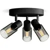 Image de Philips Palms 8720169299351 Spot de plafond E14 noir