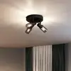 Image de Philips Palms Projecteur, E14, 3 sources lumineuses, cache-piton rond, 8720169299351,
