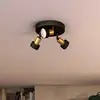 Image de Philips Conduit Projecteur, GU10, 3 sources lumineuses, cache-piton rond, 8720169299955,