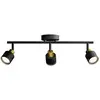 Image de Philips Niall 8720169300118 Spot de plafond GU10 noir, or