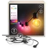 Image de Philips Hue Festavia Globe, Guirlande Lumineuse LED, 10 Ampoules, 7m