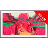 Image de SAMSUNG TQ65LS03FW Neo QLED The Frame Pro TQ65LS03FW