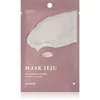 Image de Mizon Joyful Time Jeju Camellia masque nourrissant en tissu aux effets antioxydants 23 g