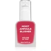 Image de House of Hur Moist Ampoule Blusher blush liquide teinte 02 Deep Plum 20 ml