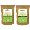 Image de Radico Lot de 2 poudres d'amla (2 x 100 g) Emblica Officinalis (bio, végétalien)